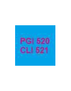 Cartuchos vacíos y chips de reinicio automático para cartuchos PGI520 y CLI521