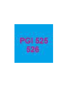 Cartuchos vacíos y chips de reinicio automático para cartuchos PGI525 y 526